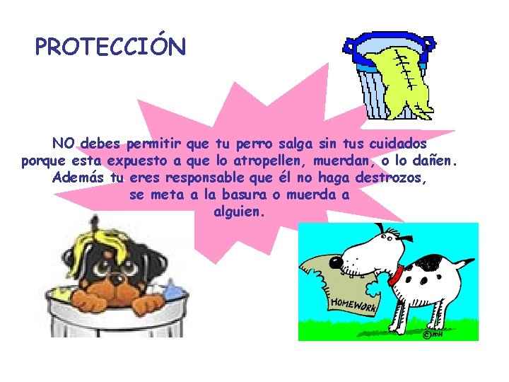 PROTECCIÓN NO debes permitir que tu perro salga sin tus cuidados porque esta expuesto