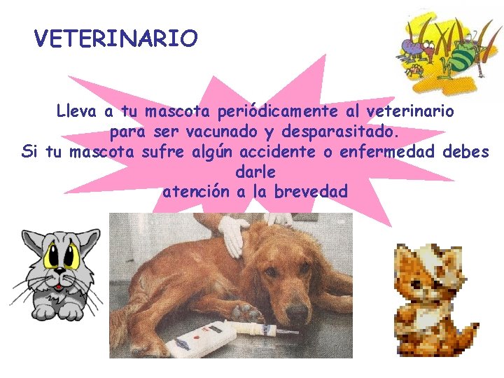 VETERINARIO Lleva a tu mascota periódicamente al veterinario para ser vacunado y desparasitado. Si