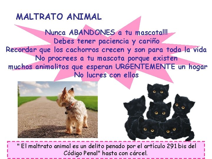 MALTRATO ANIMAL Nunca ABANDONES a tu mascota!!! Debes tener paciencia y cariño Recordar que