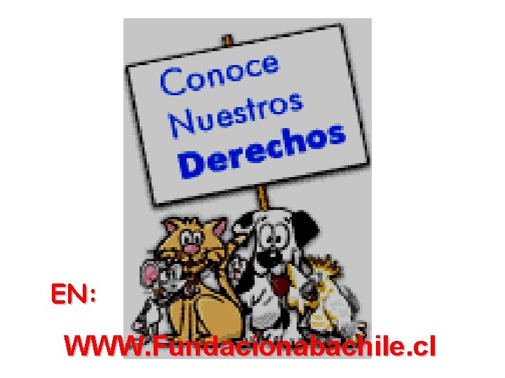 EN: WWW. Fundacionabachile. cl 