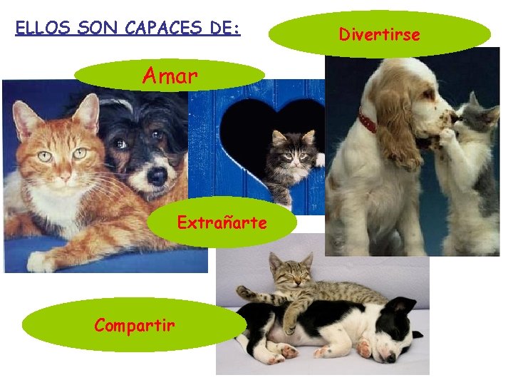 ELLOS SON CAPACES DE: Amar Extrañarte Compartir Divertirse 