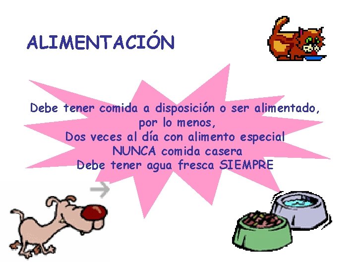 ALIMENTACIÓN Debe tener comida a disposición o ser alimentado, por lo menos, Dos veces