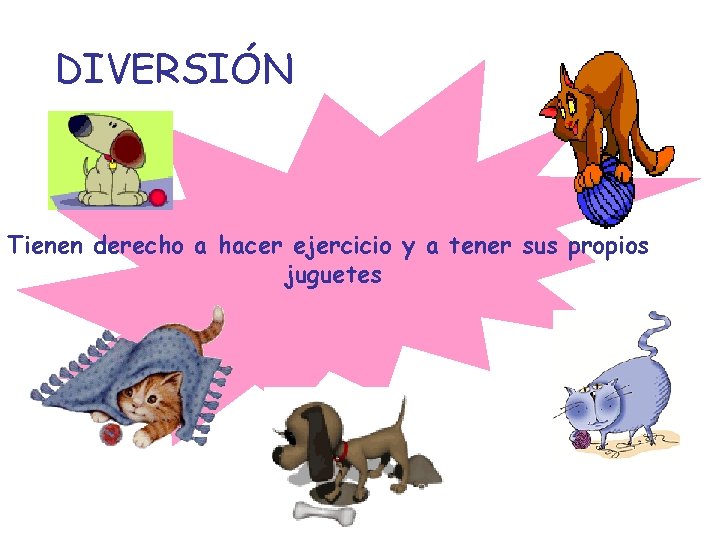 DIVERSIÓN Tienen derecho a hacer ejercicio y a tener sus propios juguetes 