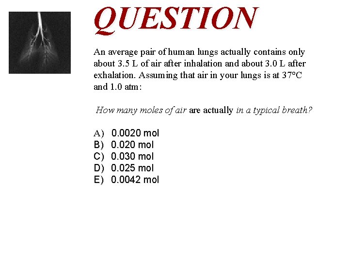 QUESTION An average pair of human lungs actually contains only about 3. 5 L