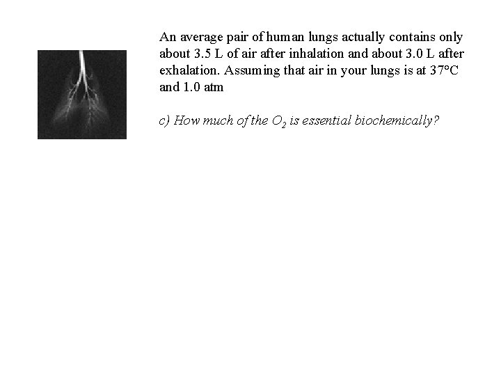 An average pair of human lungs actually contains only about 3. 5 L of