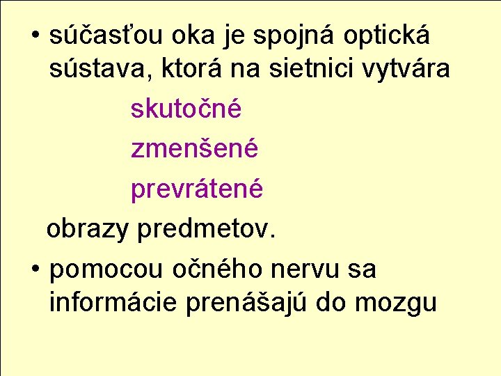  • súčasťou oka je spojná optická sústava, ktorá na sietnici vytvára skutočné zmenšené