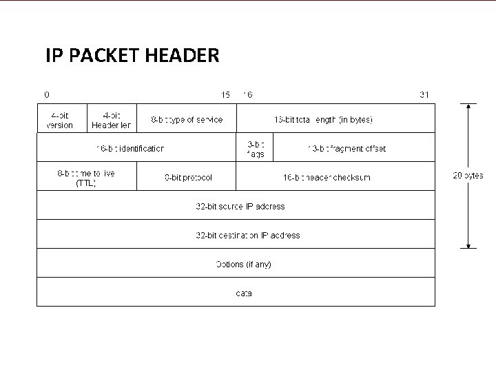 The Internet Protocol Packet 