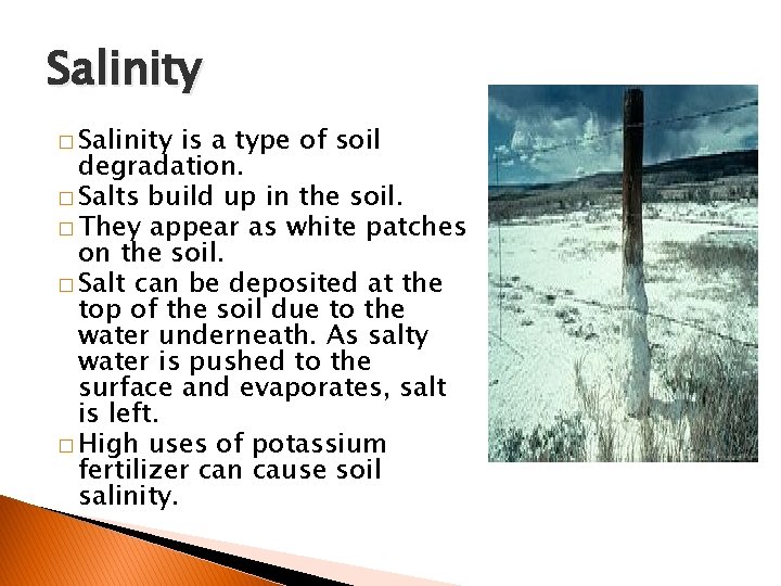 Salinity � Salinity is a type of soil degradation. � Salts build up in