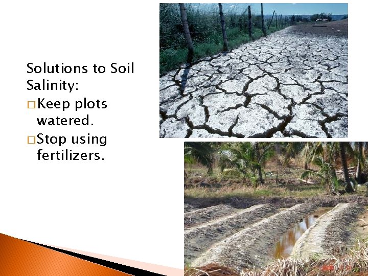 Solutions to Soil Salinity: � Keep plots watered. � Stop using fertilizers. 