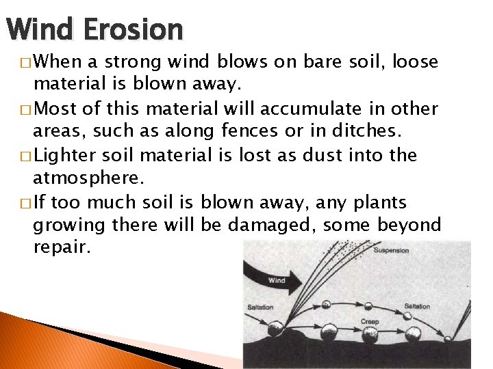 Wind Erosion � When a strong wind blows on bare soil, loose material is