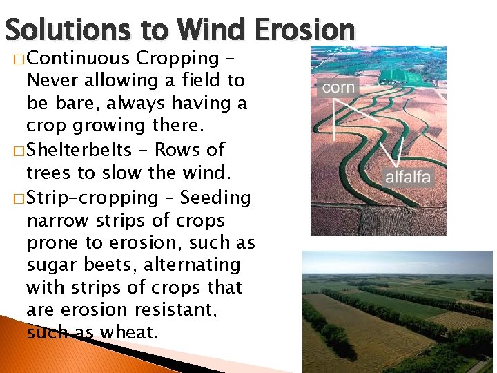 Solutions to Wind Erosion � Continuous Cropping – Never allowing a field to be
