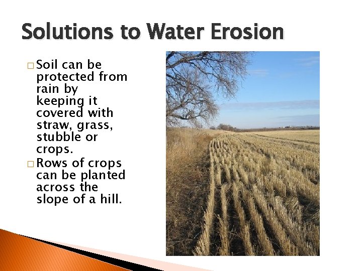 Solutions to Water Erosion � Soil can be protected from rain by keeping it