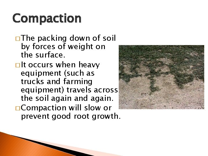 Compaction � The packing down of soil by forces of weight on the surface.