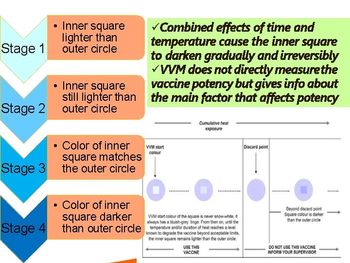  • Inner square lighter than Stage 1 outer circle • Inner square still