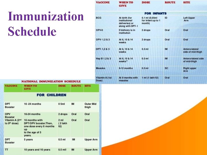 Immunization Schedule 