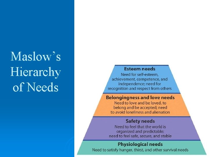 Maslow’s Hierarchy of Needs Maslow’s Hierarchy of Needs