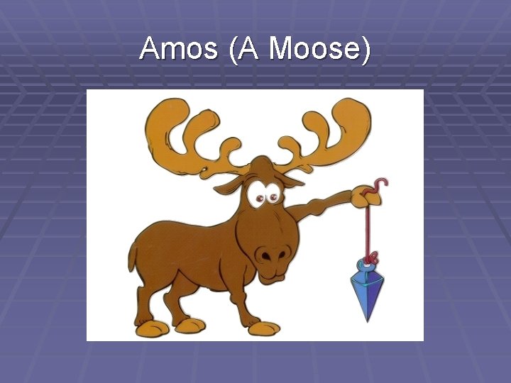 Amos (A Moose) 