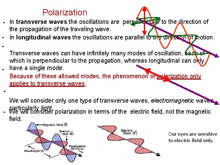 Polarization ▪ In transverse waves the oscillations are perpendicular to the direction of the Polarization ▪ In transverse waves the oscillations are perpendicular to the direction of the