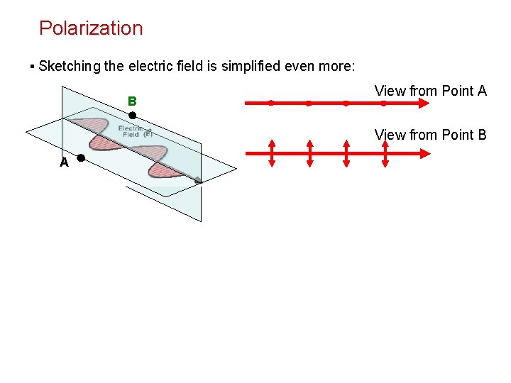 Polarization ▪ Sketching the electric field is simplified even more: B View from Point Polarization ▪ Sketching the electric field is simplified even more: B View from Point