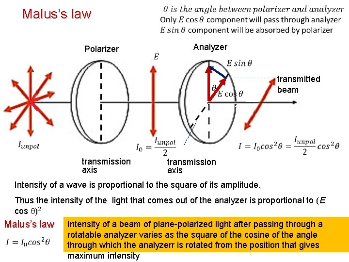Malus’s law Polarizer Analyzer transmitted beam transmission axis Intensity of a wave is proportional Malus’s law Polarizer Analyzer transmitted beam transmission axis Intensity of a wave is proportional