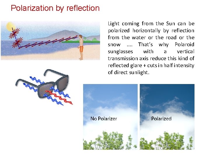Polarization by reflection Light coming from the Sun can be polarized horizontally by reflection Polarization by reflection Light coming from the Sun can be polarized horizontally by reflection