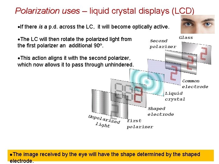 Polarization uses – liquid crystal displays (LCD) If there is a p. d. across Polarization uses – liquid crystal displays (LCD) If there is a p. d. across