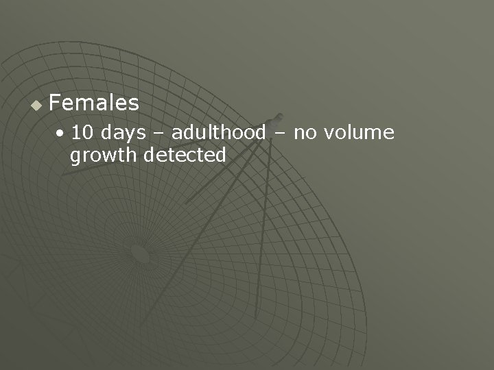 u Females • 10 days – adulthood – no volume growth detected 