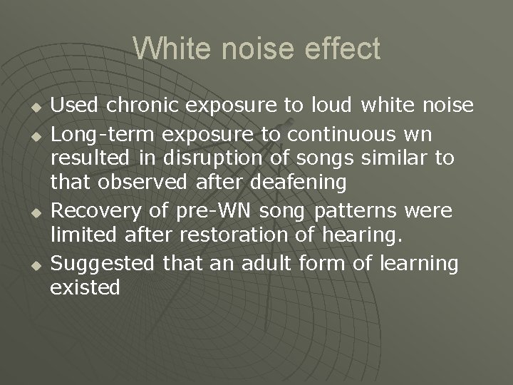 White noise effect u u Used chronic exposure to loud white noise Long-term exposure