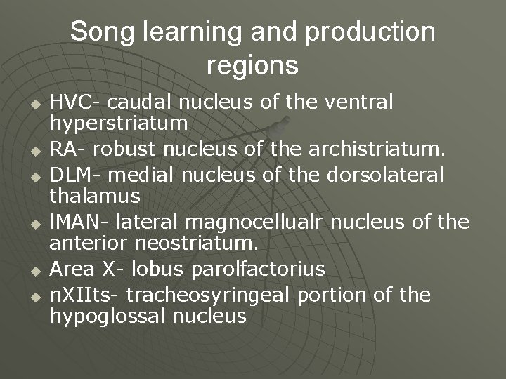 Song learning and production regions u u u HVC- caudal nucleus of the ventral
