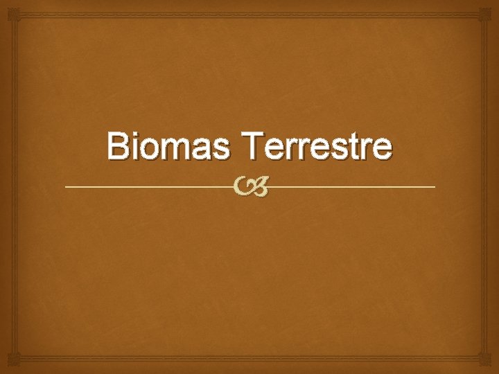 Biomas Terrestre 