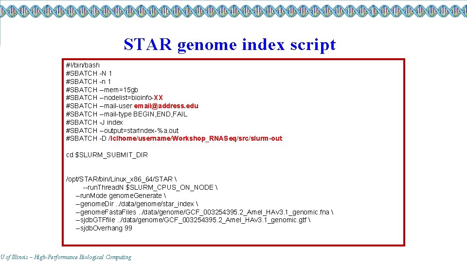 STAR genome index script #!/bin/bash #SBATCH -N 1 #SBATCH -n 1 #SBATCH --mem=15 gb