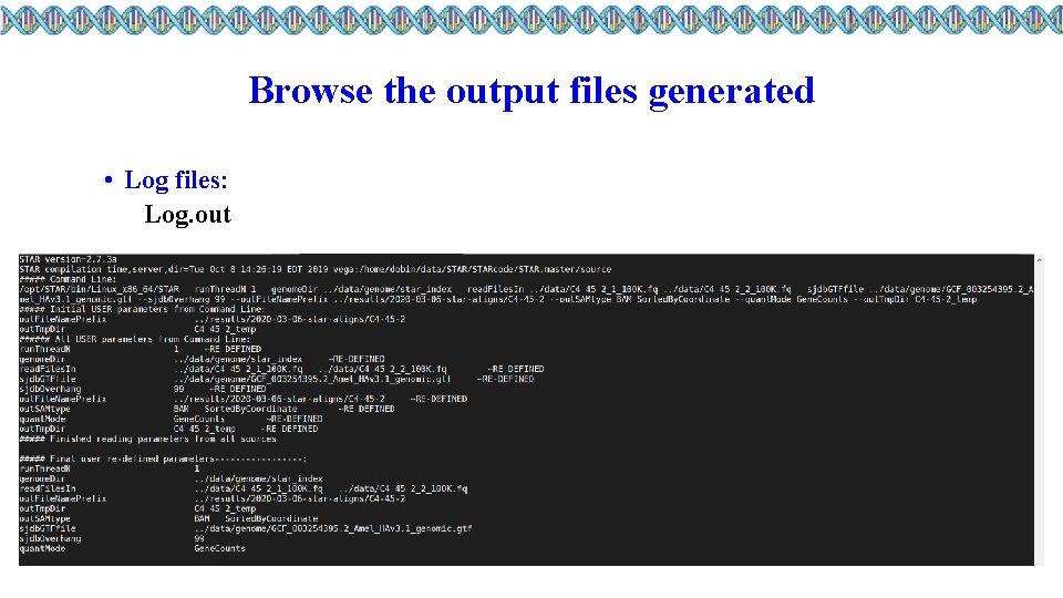 Browse the output files generated • Log files: Log. out 