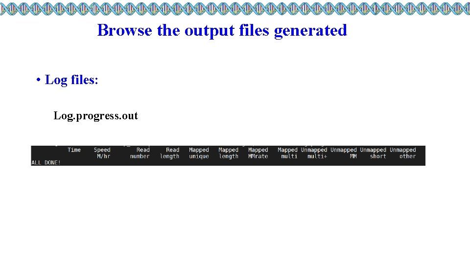 Browse the output files generated • Log files: Log. progress. out 