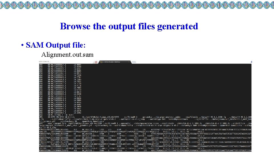 Browse the output files generated • SAM Output file: Alignment. out. sam 