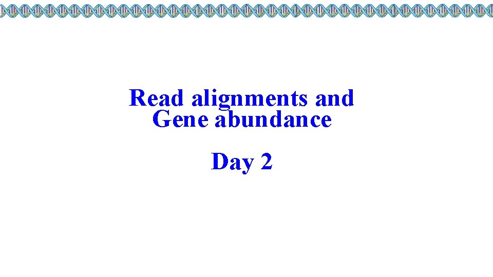 Read alignments and Gene abundance Day 2 