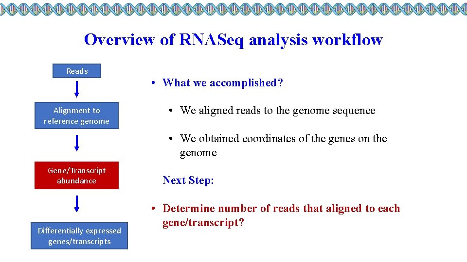 Overview of RNASeq analysis workflow Reads Alignment to reference genome • What we accomplished?