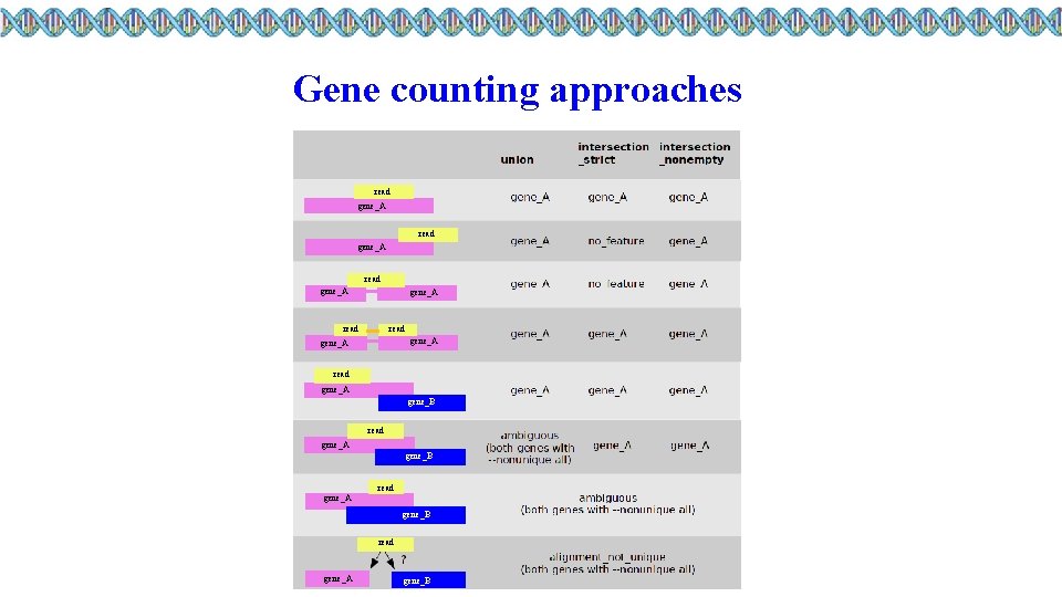 Gene counting approaches read gene_A read gene_A read gene_A gene_B 