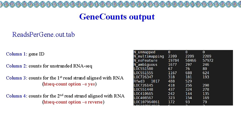 Gene. Counts output Reads. Per. Gene. out. tab Column 1: gene ID Column 2: