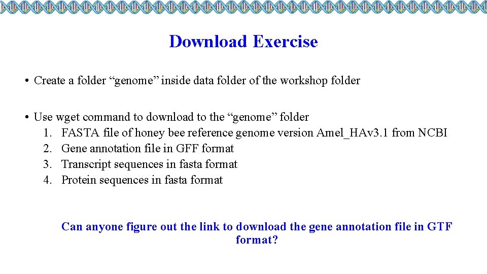 Download Exercise • Create a folder “genome” inside data folder of the workshop folder