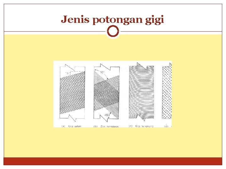 Jenis potongan gigi 