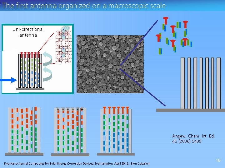 The first antenna organized on a macroscopic scale monodirectional Uni-directional antenna materials Angew. Chem.