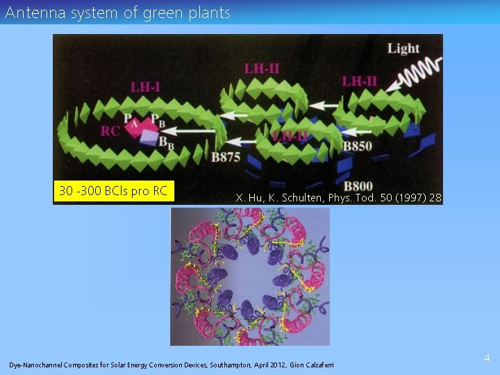 Antenna system of green plants 30 -300 BCls pro RC X. Hu, K. Schulten,