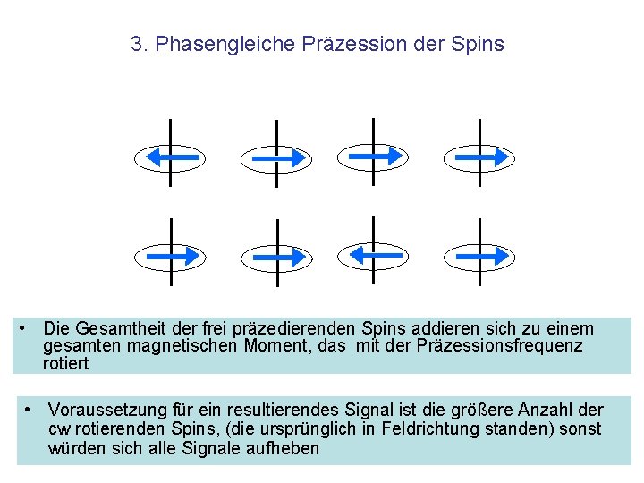 3. Phasengleiche Präzession der Spins • Die Gesamtheit der frei präzedierenden Spins addieren sich
