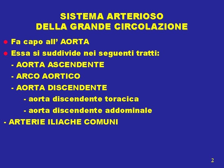 SISTEMA ARTERIOSO DELLA GRANDE CIRCOLAZIONE Fa capo all’ AORTA Essa si suddivide nei seguenti