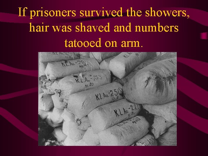 If prisoners survived the showers, hair was shaved and numbers tatooed on arm. 