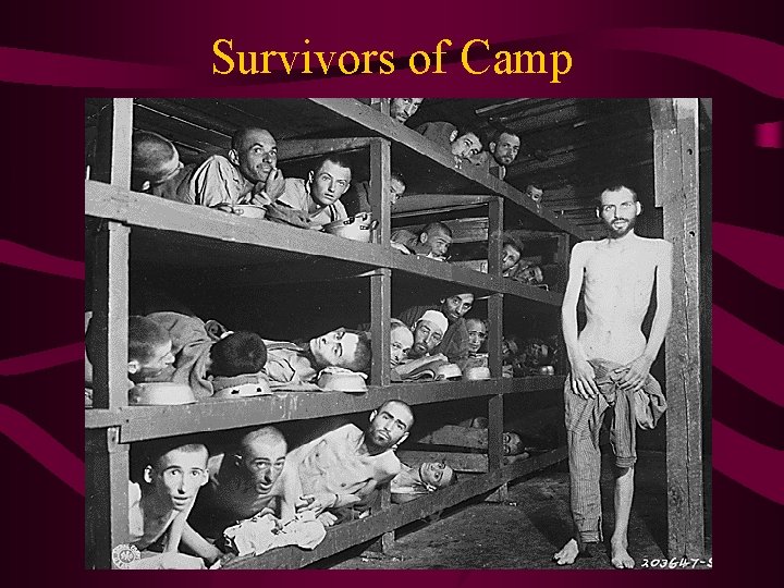 Survivors of Camp 