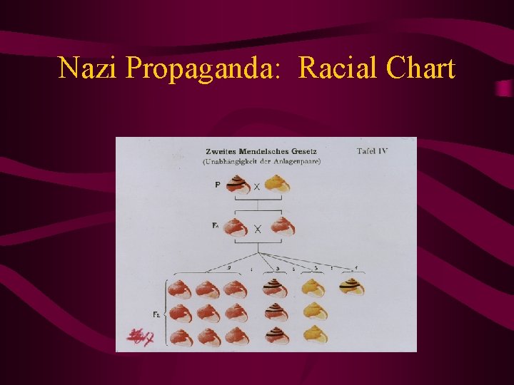 Nazi Propaganda: Racial Chart 