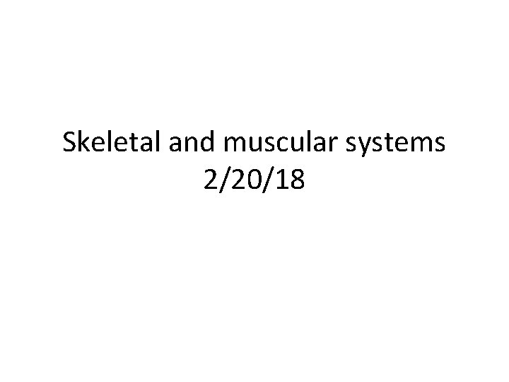 Skeletal and muscular systems 2/20/18 Skeletal and muscular systems 2/20/18
