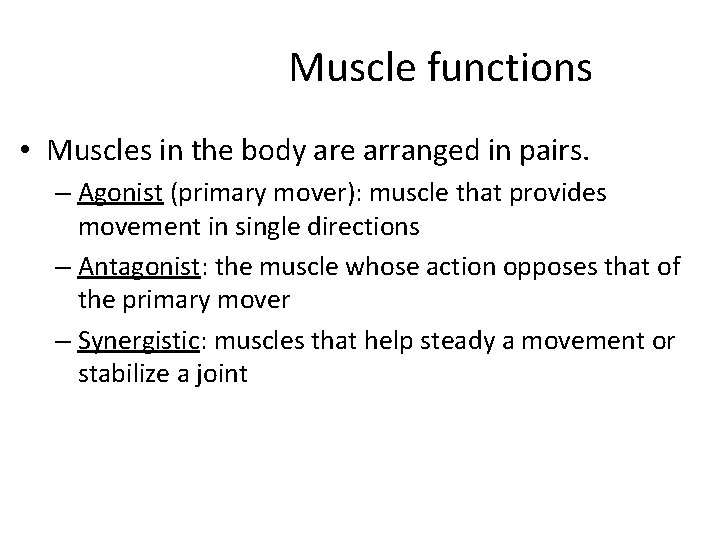 Muscle functions • Muscles in the body are arranged in pairs. – Agonist (primary Muscle functions • Muscles in the body are arranged in pairs. – Agonist (primary