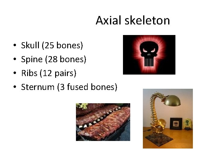Axial skeleton • • Skull (25 bones) Spine (28 bones) Ribs (12 pairs) Sternum Axial skeleton • • Skull (25 bones) Spine (28 bones) Ribs (12 pairs) Sternum
